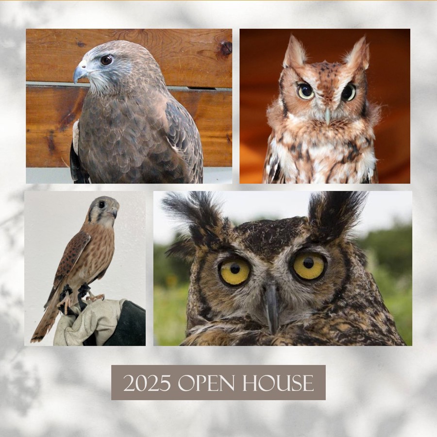 2025 Open House
