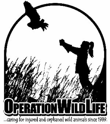 Organization Logo