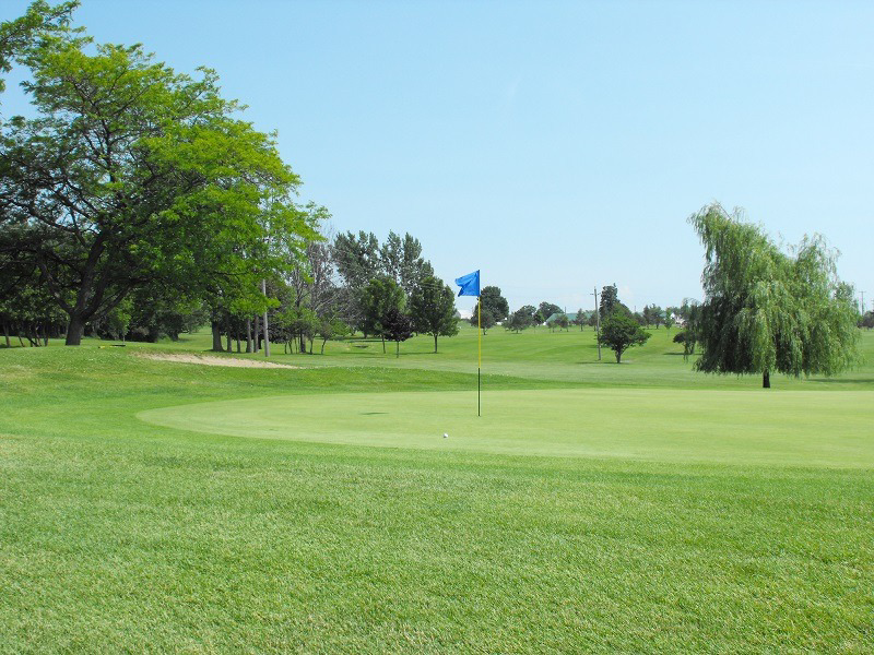 Image of Auction Item