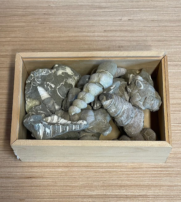 Image of Auction Item