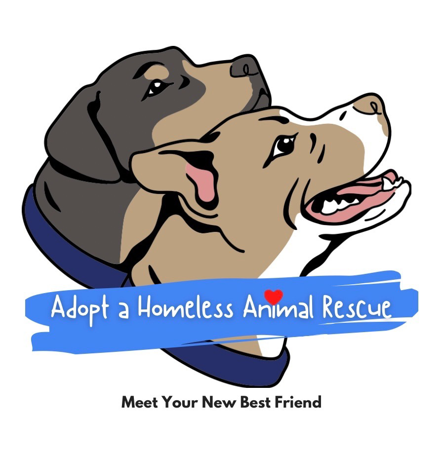 Organization Logo