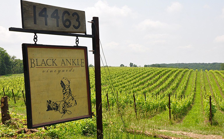 Image of Auction Item