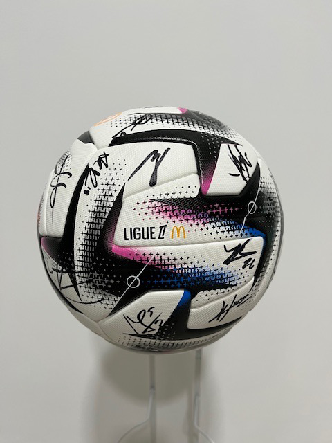 Image of Auction Item