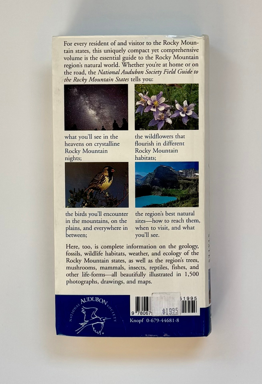 Image of Auction Item