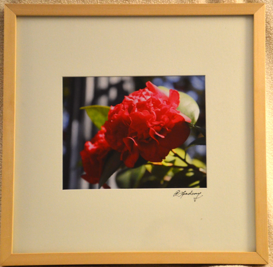 Image of Auction Item