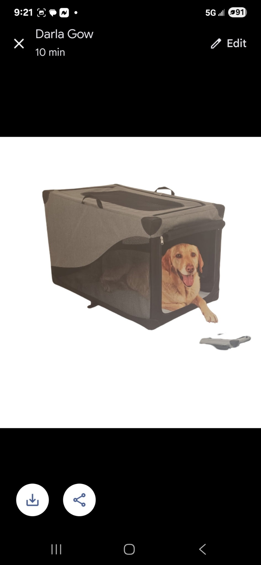 Image of Auction Item