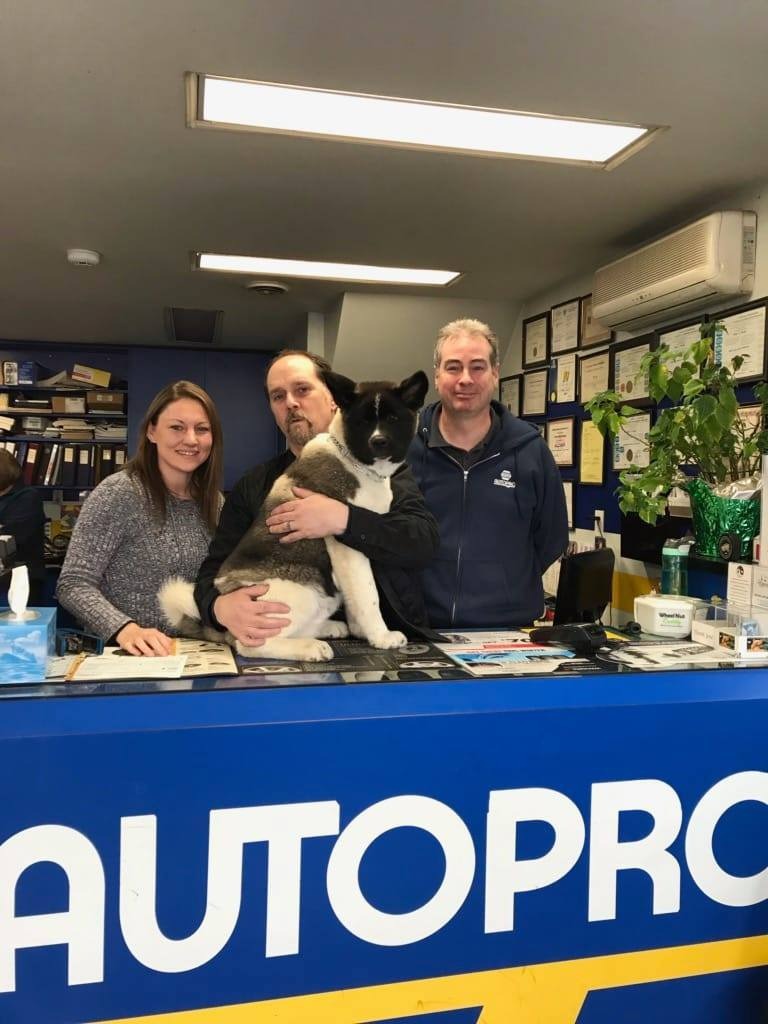 Image of Auction Item