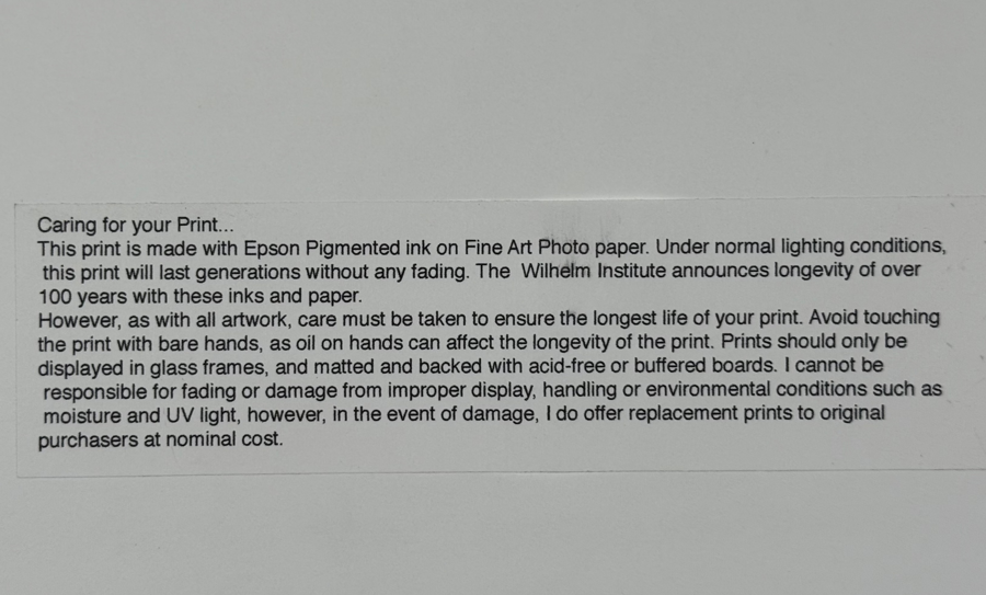 Image of Auction Item