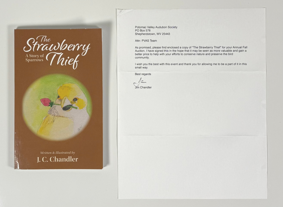 Image of Auction Item