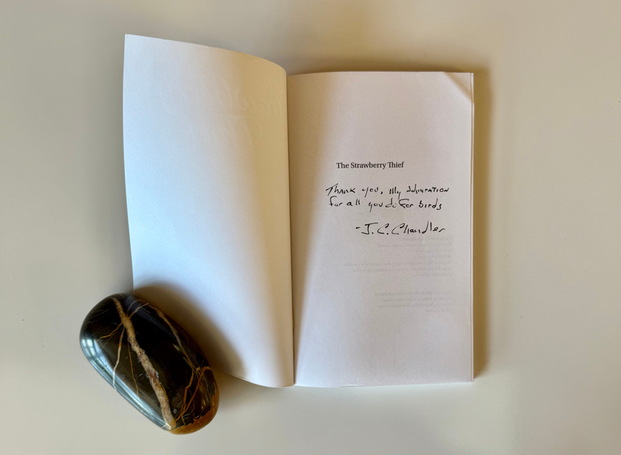 Image of Auction Item