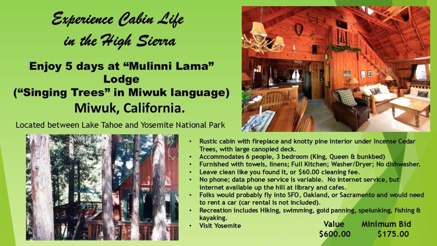 Image of Auction Item