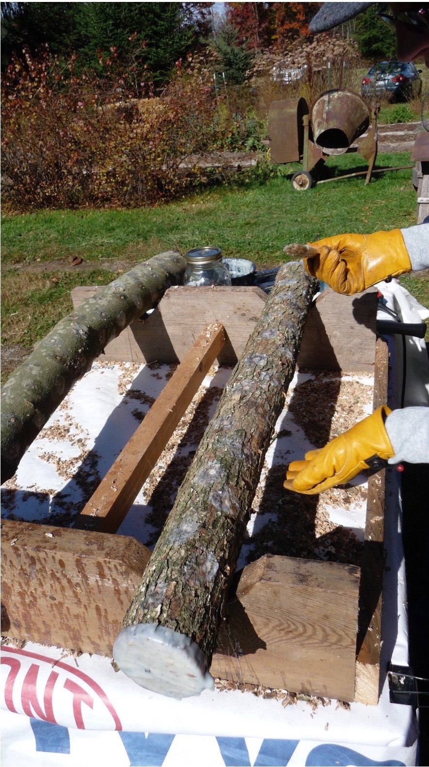 Image of Auction Item