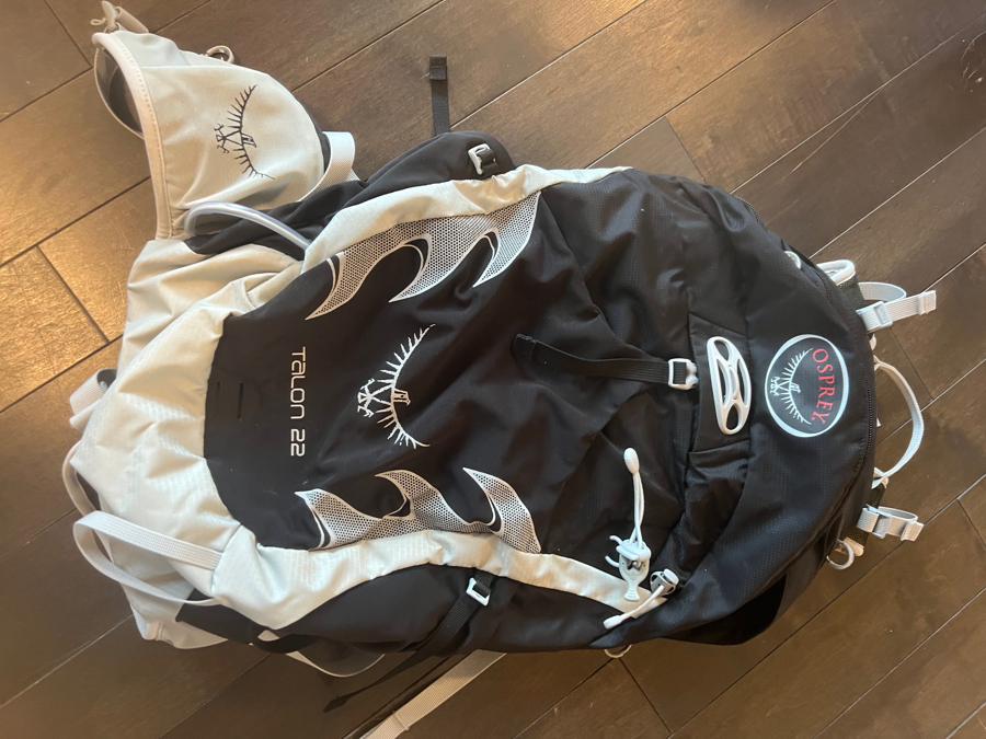 Image of Auction Item