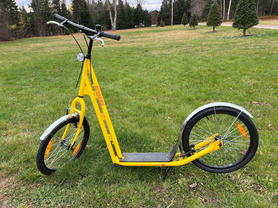 Image of Auction Item