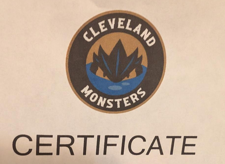 Image of Auction Item