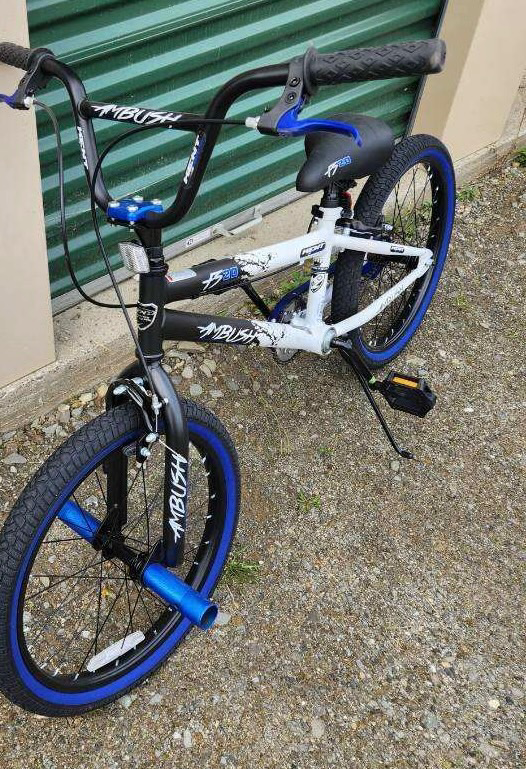 Image of Auction Item