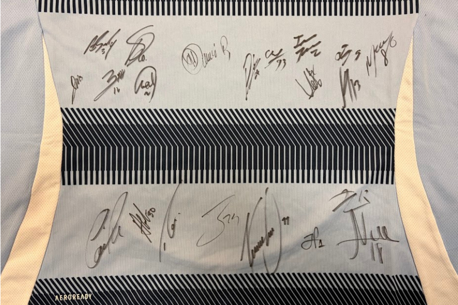 Image of Auction Item