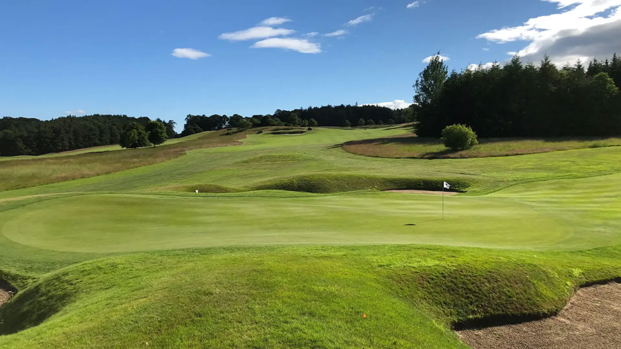 Image of Auction Item