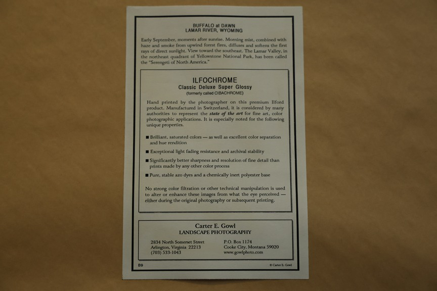 Image of Auction Item