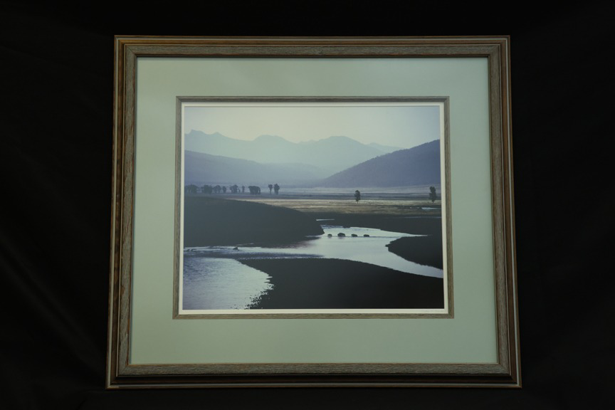 Image of Auction Item