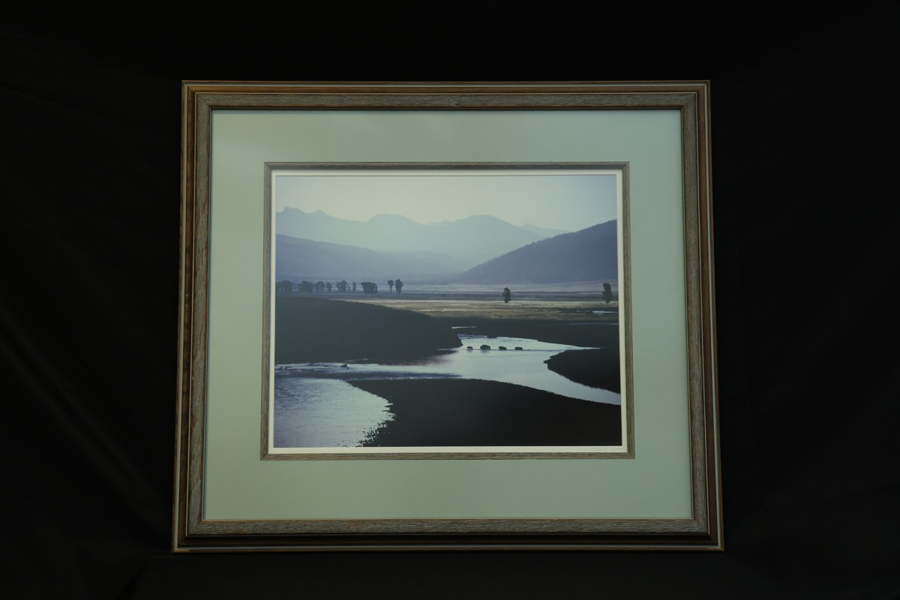 Image of Auction Item