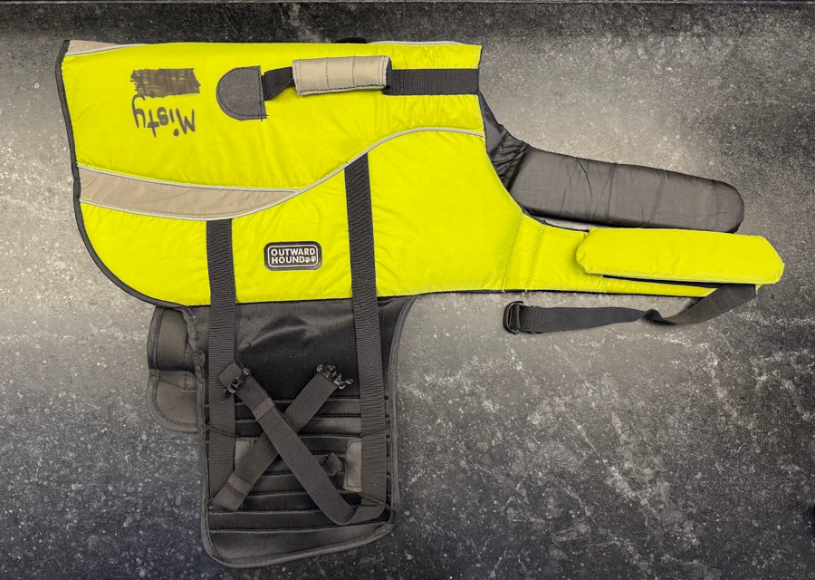 Image of Auction Item