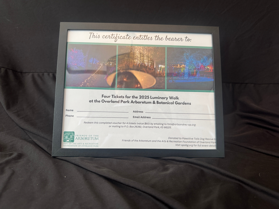 Image of Auction Item