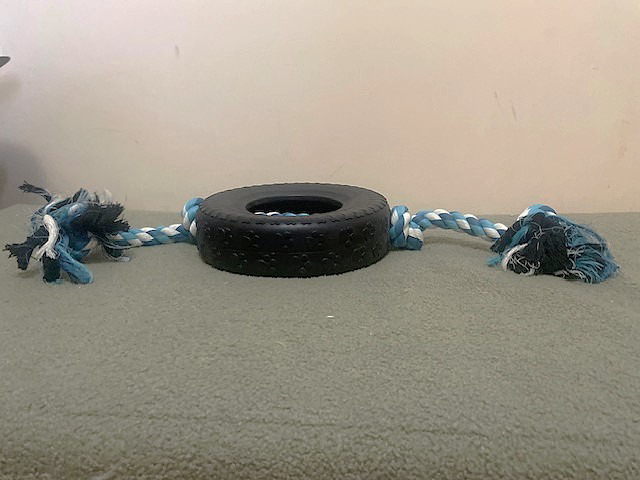 Image of Auction Item