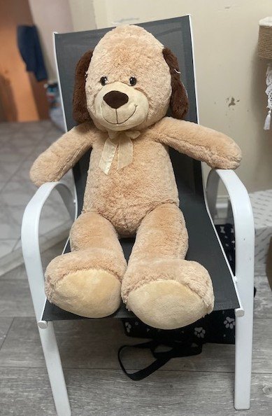 Image of Auction Item