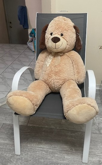 Image of Auction Item