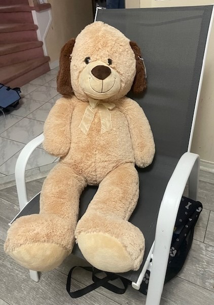 Image of Auction Item