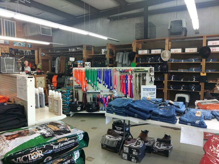 Image of Auction Item