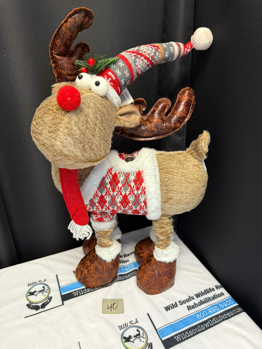 Image of Auction Item