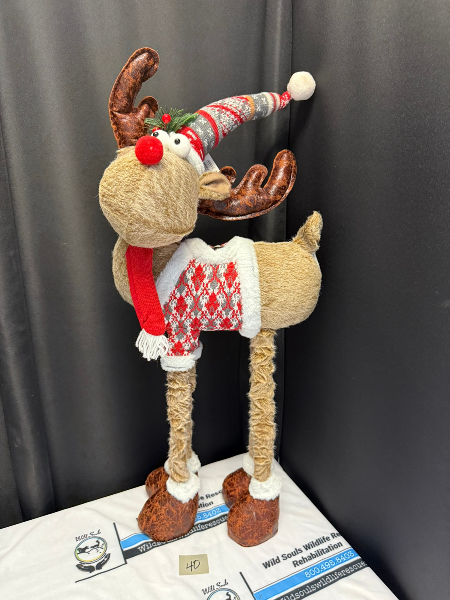 Image of Auction Item