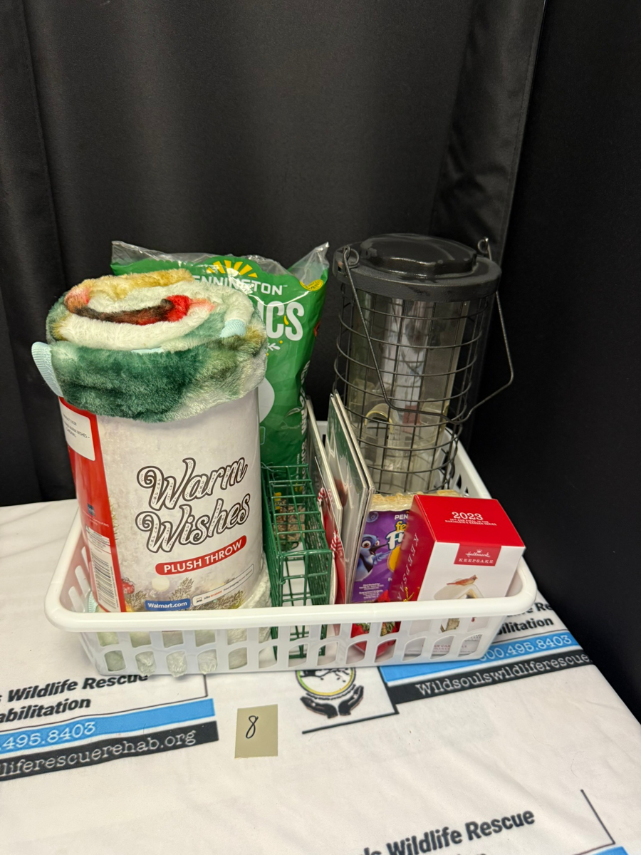 Image of Auction Item