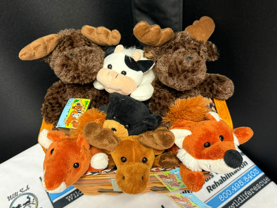 Image of Auction Item