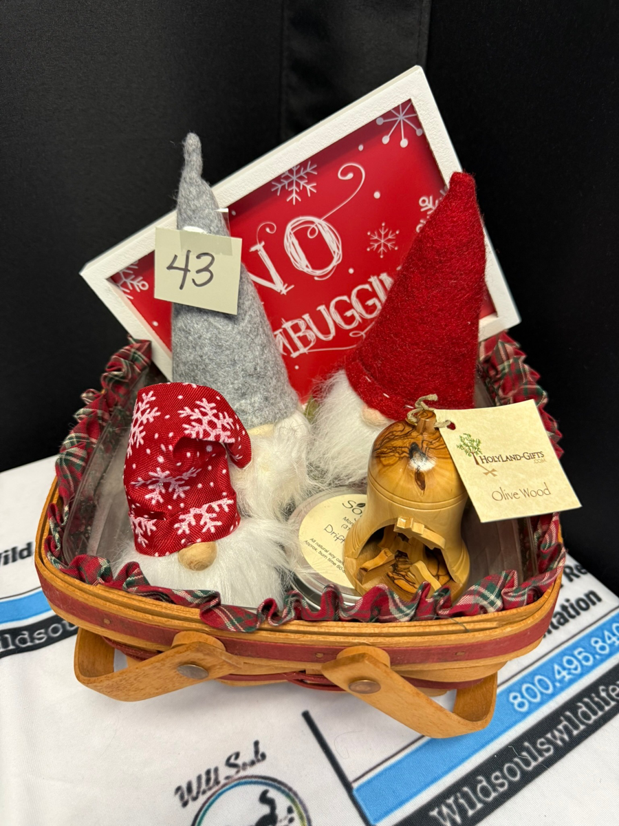 Image of Auction Item