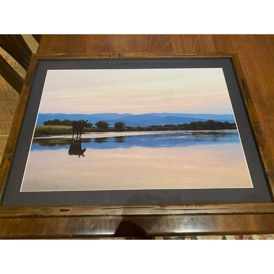 Image of Auction Item