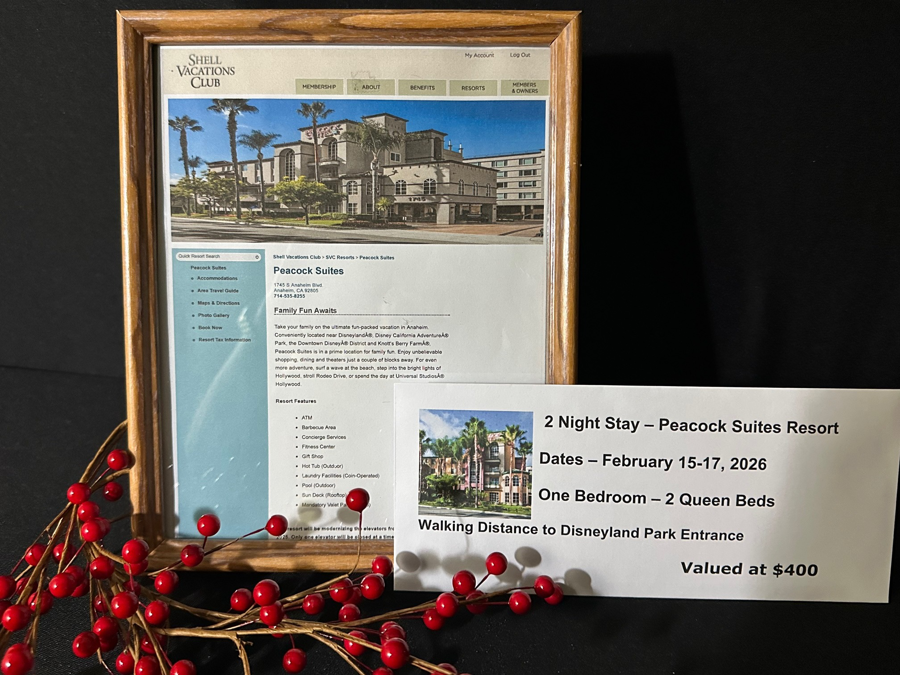 Image of Auction Item