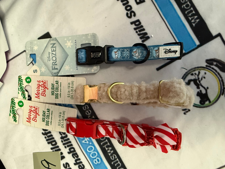 Image of Auction Item