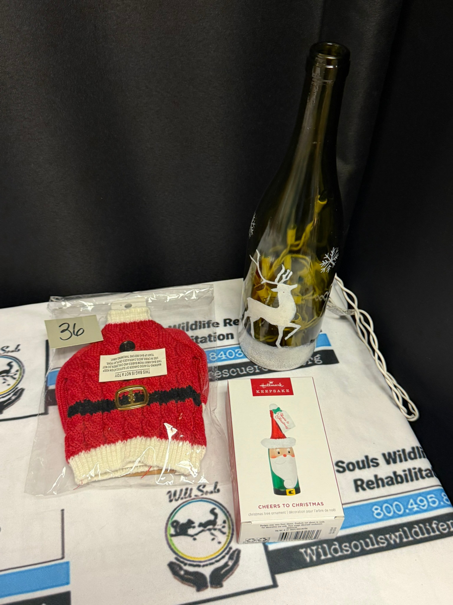 Image of Auction Item