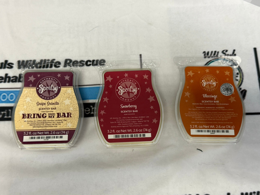 Image of Auction Item