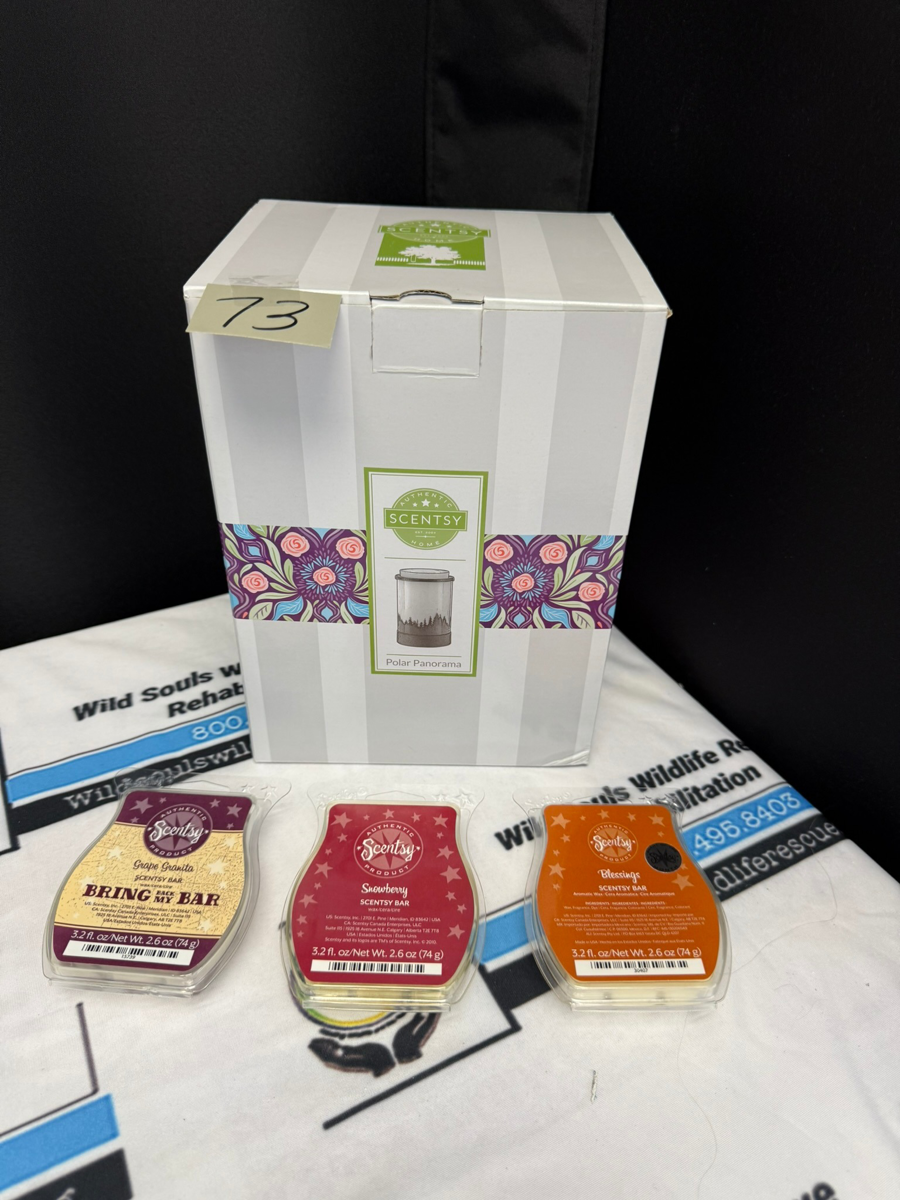 Image of Auction Item