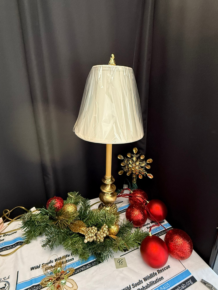 Image of Auction Item