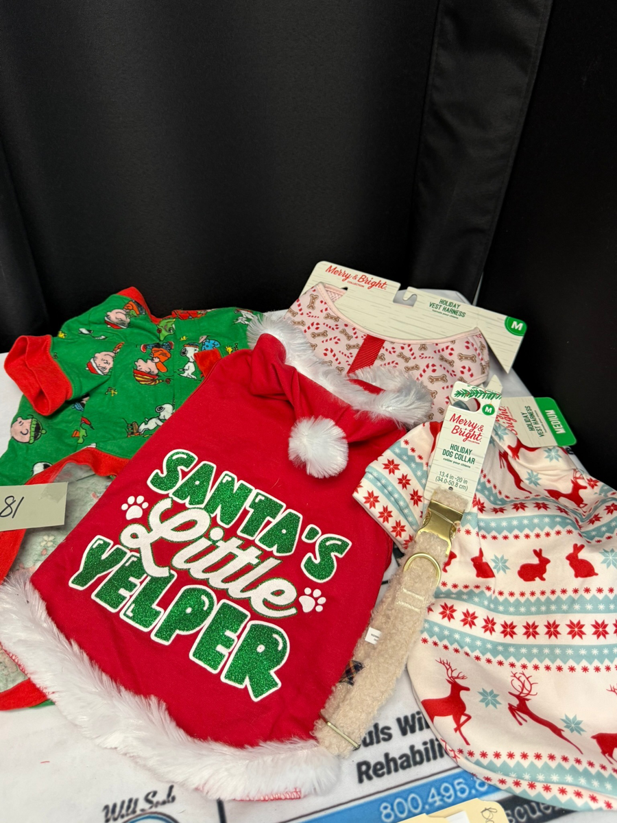 Image of Auction Item