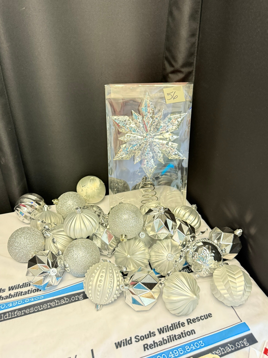 Image of Auction Item