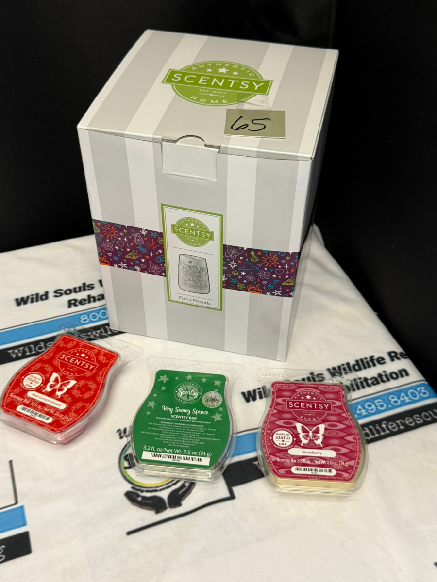 Image of Auction Item