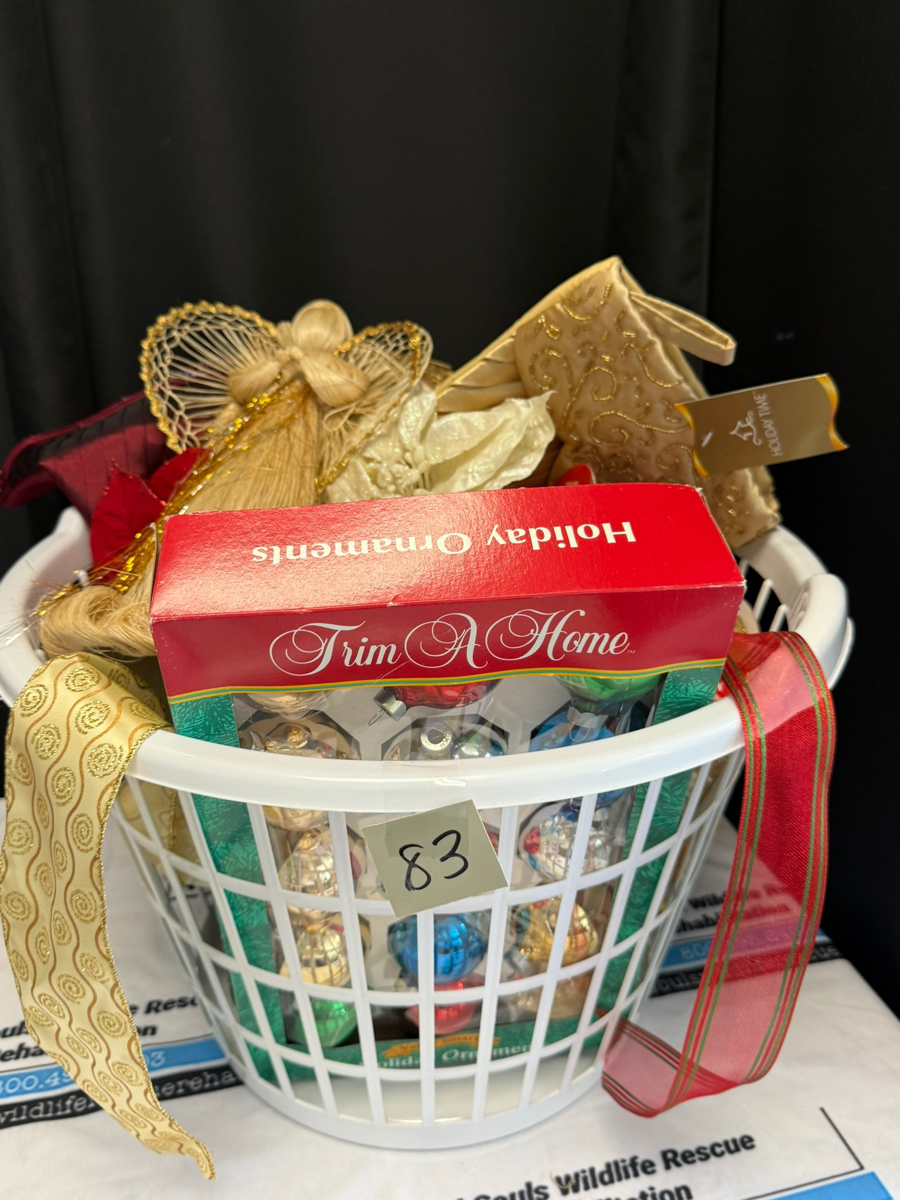 Image of Auction Item