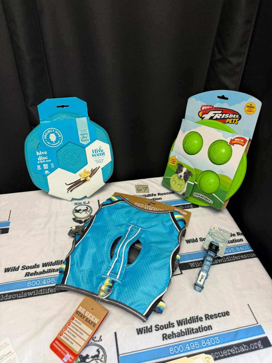 Image of Auction Item