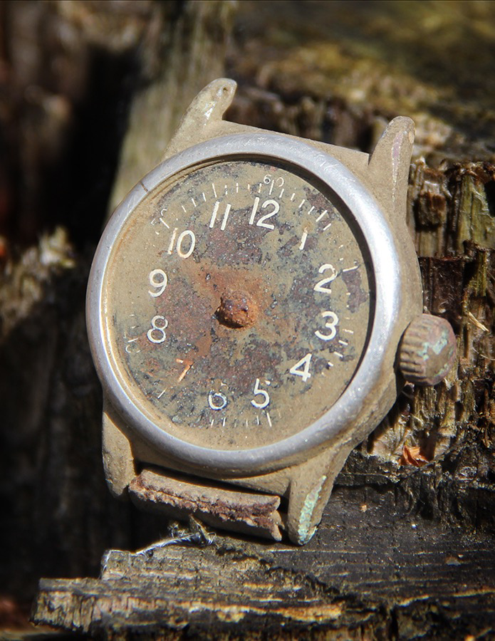 Image of Auction Item